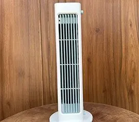 Ashley D., Miami FL — Breezamax Verified Customer
